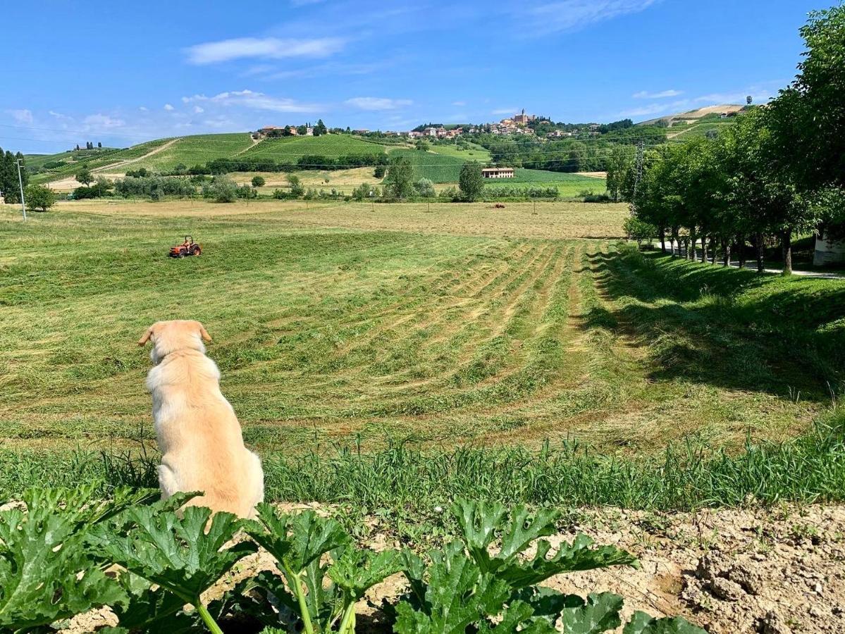 Agriturismo La Mussia Castelnuovo  المظهر الخارجي الصورة